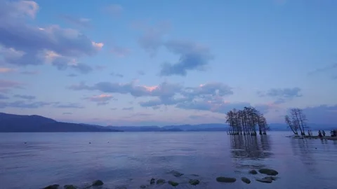 Tranquil Lakeside Sunset with Soft Blue-Pink Sky Stock Footage 312449629