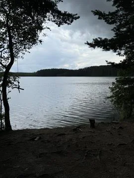 Tranquil Lakeside View Framed by Trees Stock Photos
