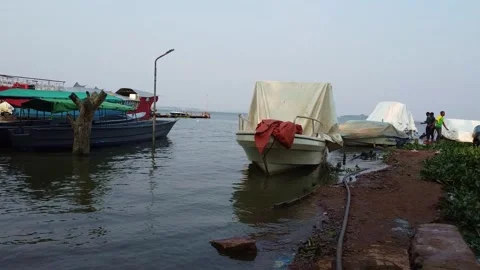 Tranquil Lakeside View of Several Boats Docked Near Shoreline Under a Light Sky Stock Footage 314472254