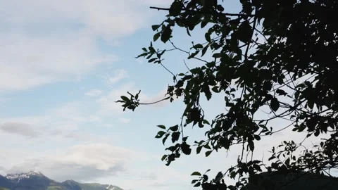 Tranquil Lakeside View with Snow-Capped Mountains and Lush Foliage Stock Footage 253121099