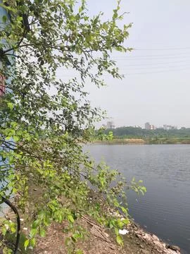 Tranquil lakeside view with tree branches and distant city skyline. Stock Photos