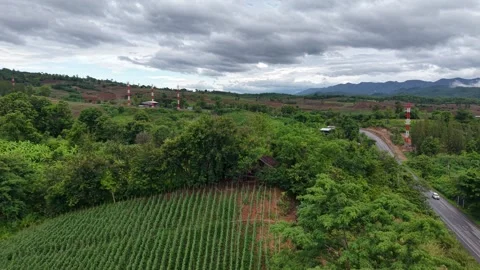 Tranquil Landscape with Fields and Rolling Hills – After Rain Drone Footage Stock-Footage 310513801