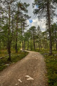 Tranquil landscape of natural scenery in Pyha- Luosto National Park in Lapland, Stock Photos