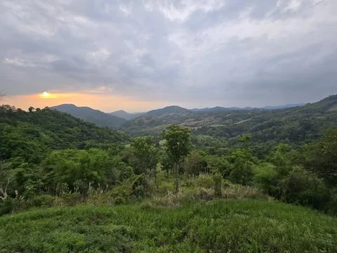 A tranquil landscape at sunset features a vibrant green valley surrounded by Stock Photos