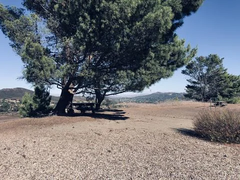 Tranquil Landscape Under a Large Tree on a Sunny Day in Nature Stock Photos