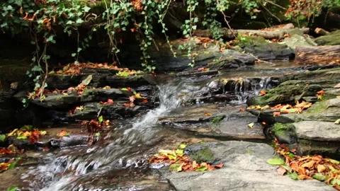 A tranquil little mountain stream flows through a slate gorge Vídeos de archivo 343871355