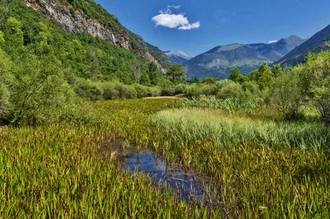 Tranquil Marsh Landscape with Mountains Stock Photos