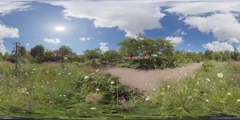 Tranquil Meadow and Walking Path at Botanical Garden - 360 VR Stock Footage 138230208