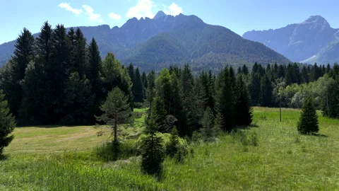 Tranquil Meadow with Forest and Mountain Backdrop Stock Footage 295211759