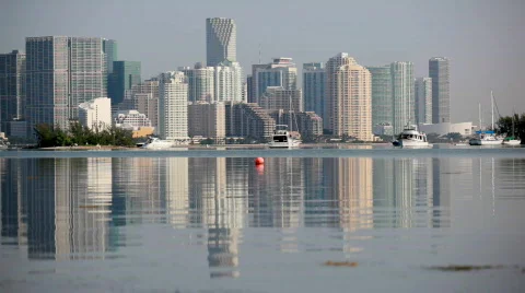Tranquil Miami reflection Video stock 830333