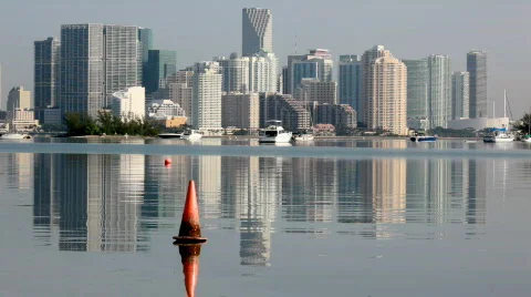 Tranquil Miami reflection Stock-Footage 830488