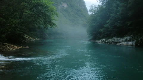 Tranquil misty river in the forest, a serene natural setting. Montenegro, Europe Video stock 279824075