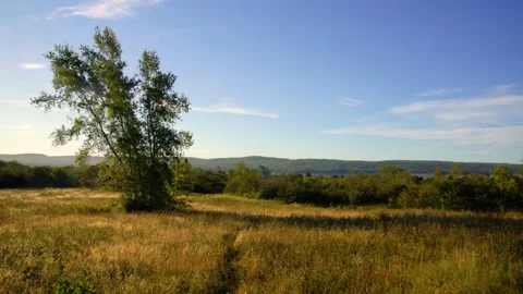 A tranquil morning Video stock 161173082