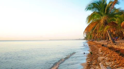 Tranquil Morning Scene from the Beach Stock Footage 73994394