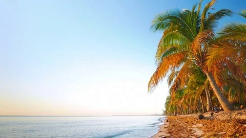 Tranquil Morning Scene from the Beach Stock Footage 73996098