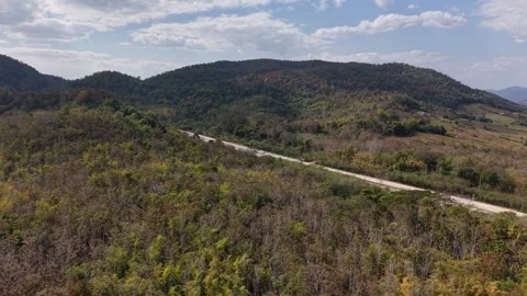 Tranquil Mountain Forest with Curving Road Stock Footage 327506516