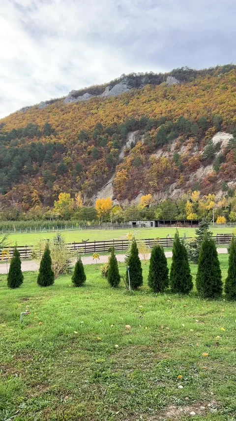 Tranquil mountain lake with cozy seating area surrounded by lush greenery Video stock 304879302