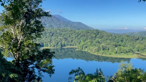 Tranquil Mountain Lake Reflection and Green Forest in Bali Stock Footage 337354745