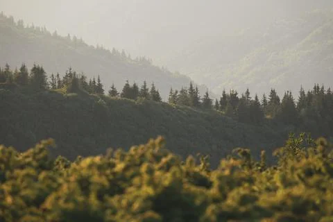 Tranquil mountain landscape Photos