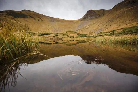 Tranquil Mountain Pond Reflection Stock Photos