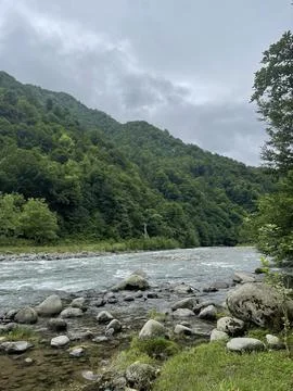 Tranquil Mountain River Flowing Through Lush Green Forest Stock Photos