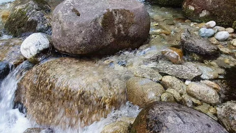 Tranquil Mountain Stream Flowing Over Mossy Rocks Through Evergreen Forest With Stockbeeldmateriaal 346634382