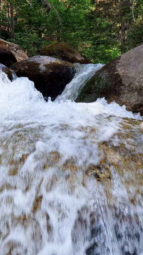 Tranquil Mountain Stream Flowing Over Mossy Rocks Through Evergreen Forest With Stockbeeldmateriaal 346636079