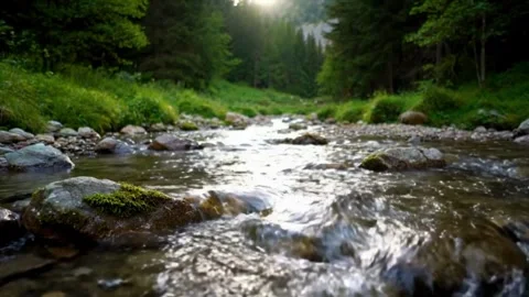 Tranquil Mountain Stream Flowing Through Verdant Forest: Cinematic Natural .. Stock Footage 318974693