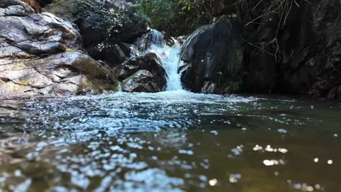 Tranquil mountain stream flows through foliage Stock Footage 277487369