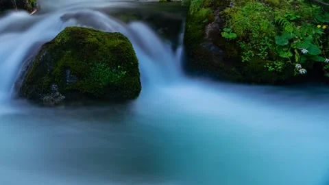 Tranquil Mountain Stream in Lush Tatras - Clear Day Timelapse Stock Footage 308193393