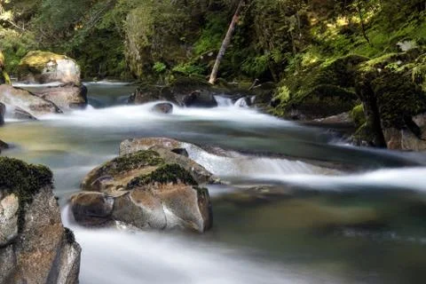 Tranquil Mountain Stream Stock Photos