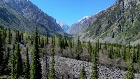 Tranquil Mountain Valley Beneath Distant Mountain Peaks With Rocky Riverbed And Stock-Footage 339324104