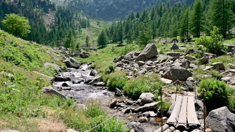 Tranquil mountain valley landscape with a small stream flowing through rocks and Stock Footage 340660007