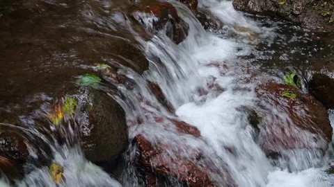 Tranquil Mountain Water Cascading Over Lush Mosscovered Rocks Vídeos de archivo 330082954