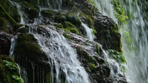 Tranquil Mountain Water Cascading Over Lush Mosscovered Rocks Stock-Footage 332734777