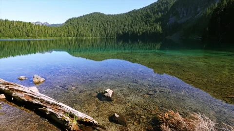 Tranquil Mowich Lake in Mount Rainier National Park, Washington State, USA Stock Footage 332080460