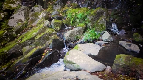 Tranquil Nature Background with Serene Clear Water River Flow Stock Footage 336592723
