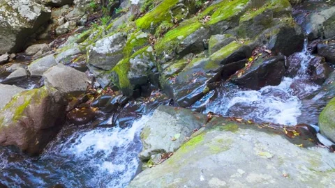Tranquil Nature Background with Serene Clear Water River Flow Stock Footage 336593438