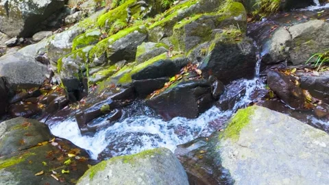 Tranquil Nature Background with Serene Clear Water River Flow Vídeos de archivo 336594840