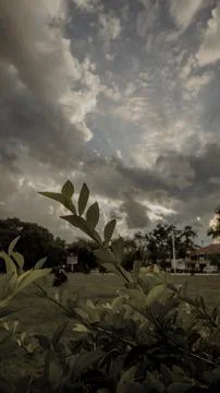 Tranquil Nature with Dramatic Cloudy Sky Stock Photos