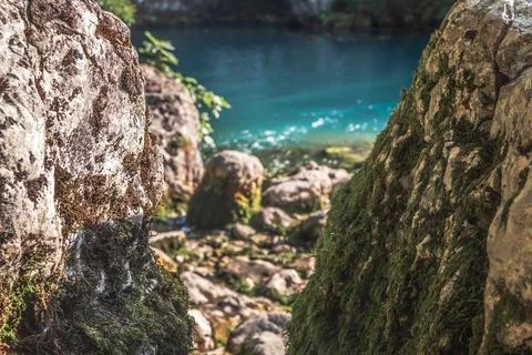 Tranquil Nature’s Window Stock Photos