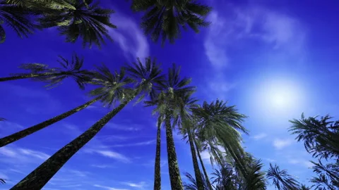 Tranquil night by ocean featuring silhouetted palms and shimmering moon Vídeo Stock 331396731