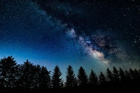 Tranquil Night Sky with Silhouetted Tree and Milky Way Galaxy Foto stock