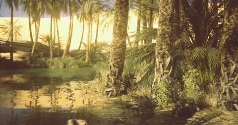 Tranquil oasis with palm trees and a reflective water surface at sunset Stock Illustration