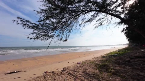Tranquil ocean beach scene under green tree branches with copy space Stock Footage 341757094