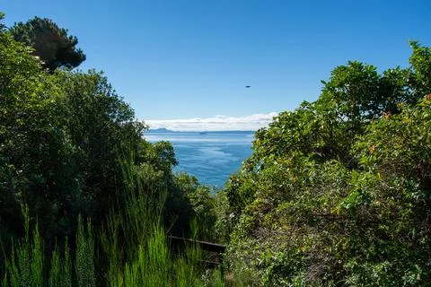 Tranquil Ocean View Surrounded by Lush Greenery Foto stock