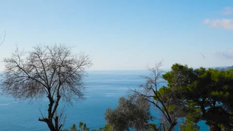 Tranquil Ocean View Through Trees – Still Shot of Blue Sea Framed Stock Footage 304761178