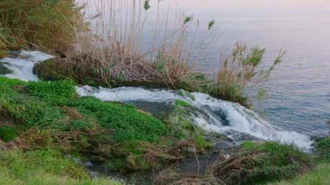 Tranquil oceanfront landscape featuring flowing water and natural elements Video stock 331556891