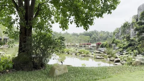 A Tranquil Oriental Garden In Ecopark Stock Footage 335756202