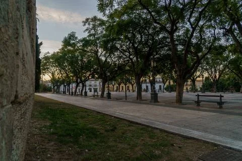 Tranquil Park at Dusk Stock Photos
